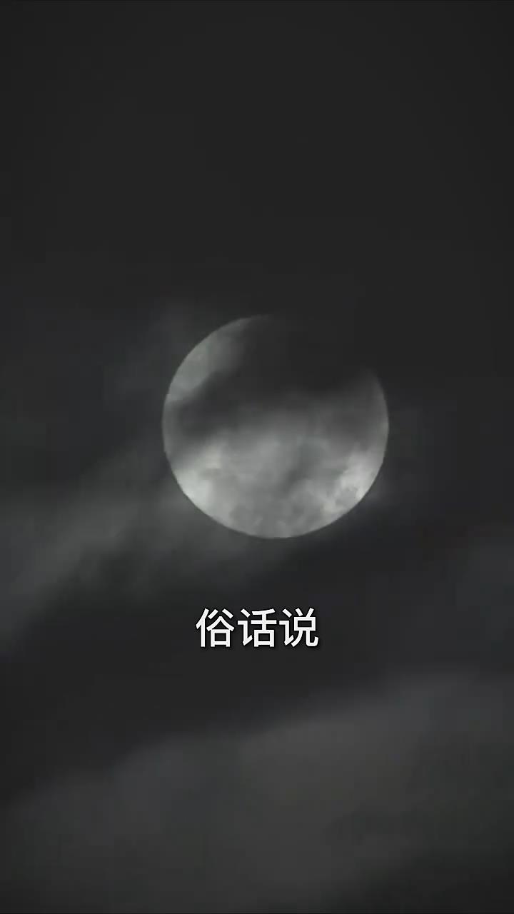 恐怖末班车(全集)